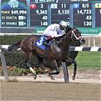 smartest bet in horse racing